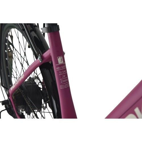 Велосипед з електромотором SPARK E-CITY EASY WAY 18" 48V/500W/12,5Ah фіолетовий матовий 239959 фото